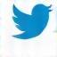 Twitter Icon